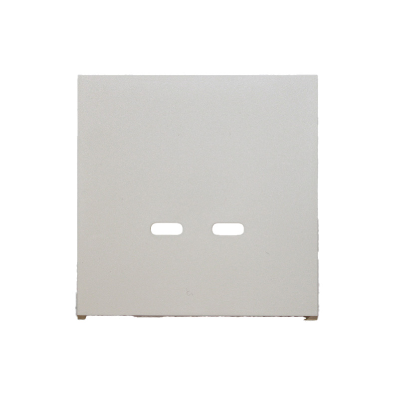 Фронтальна панель розетки-USB Fast-Charging 60W (type C+C), матовий білий