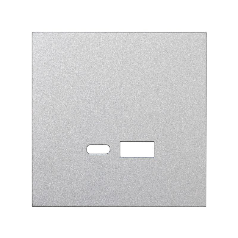 Фронтальна панель розетки-USB Fast-Charging 20W (type A+C), матовий алюміній