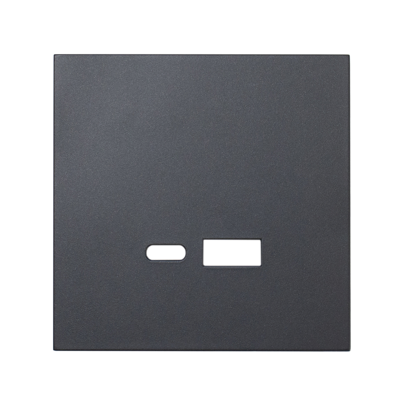 Фронтальна панель розетки-USB Fast-Charging 20W (type A+C), матовий графіт