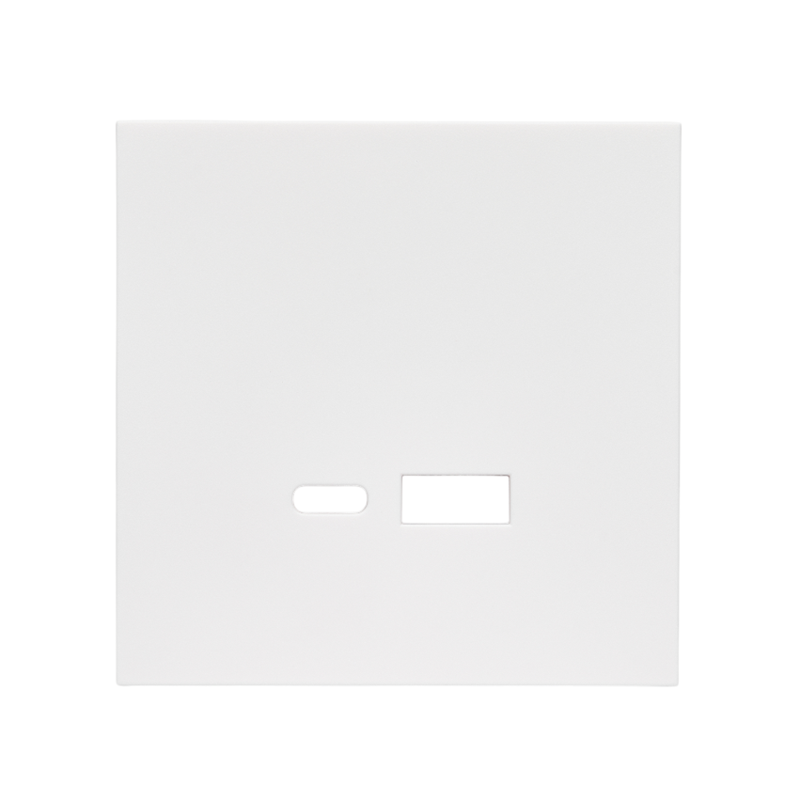 Front panel USB Fast-Charging 20W (type A+C) socket, matte white