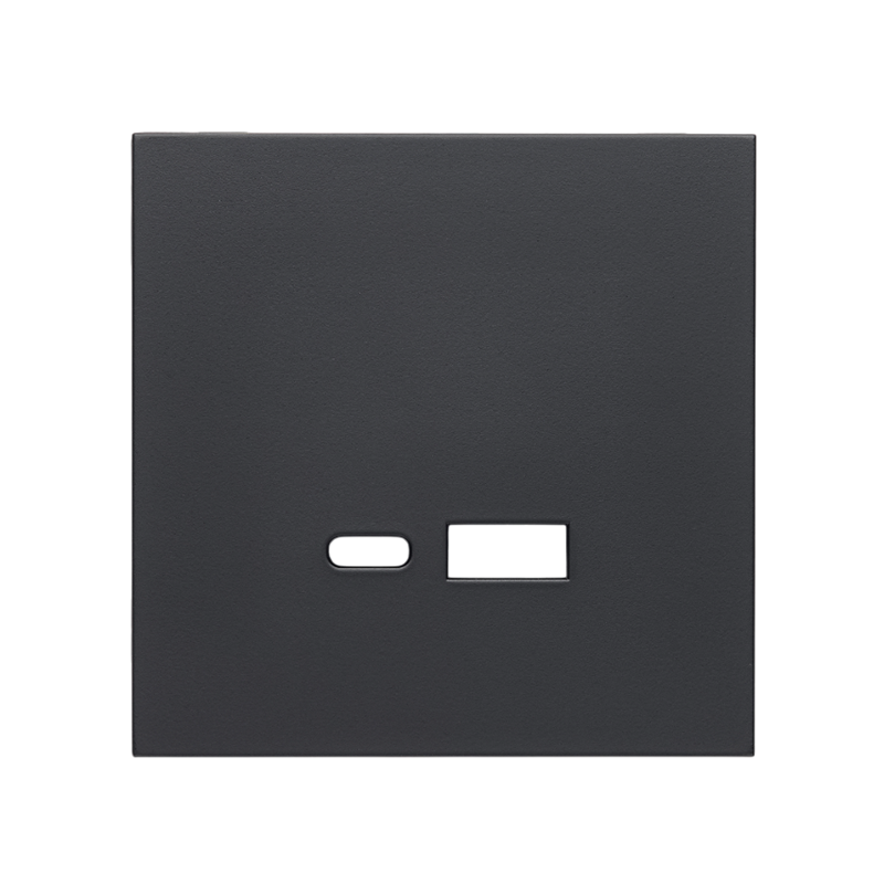 Front panel USB Fast-Charging 20W (type A+C) socket, matte black