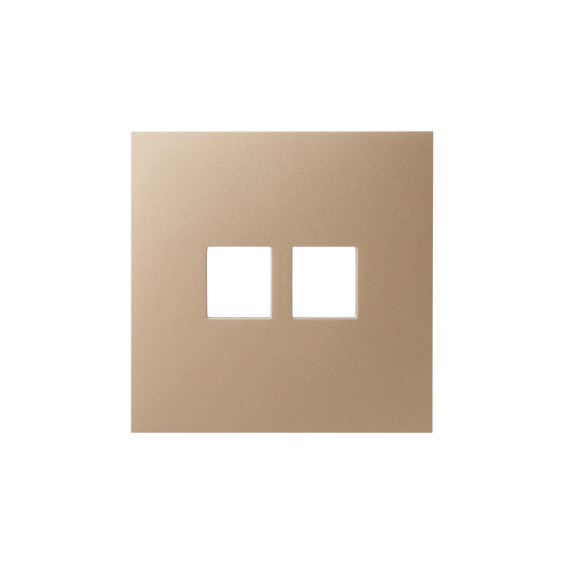 Front panel of a double computer socket, soft aurum