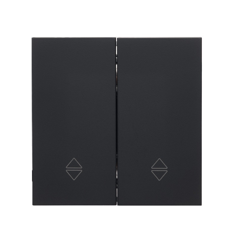 Front panel of the two-button passage switch, matte black